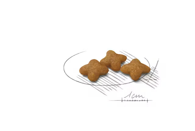 ROYAL CANIN X-Small Sterilised - Sausas Pašaras Kastruotiems Šunims