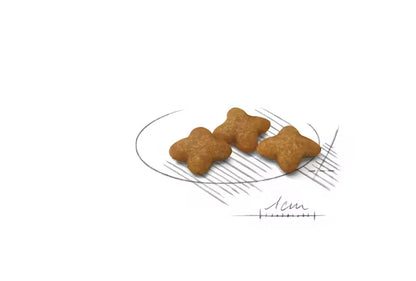 ROYAL CANIN X-Small Sterilised - Sausas Pašaras Kastruotiems Šunims