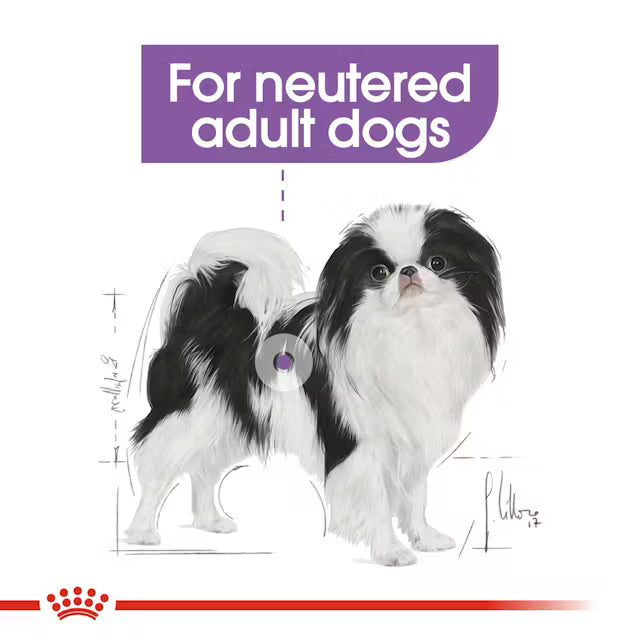 ROYAL CANIN X-Small Sterilised - Sausas Pašaras Kastruotiems Šunims