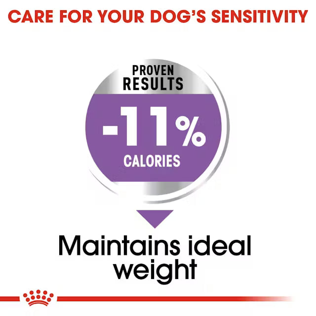 ROYAL CANIN X-Small Sterilised - Sausas Pašaras Kastruotiems Šunims