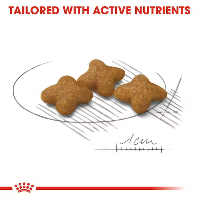 ROYAL CANIN X-Small Sterilised - Sausas Pašaras Kastruotiems Šunims