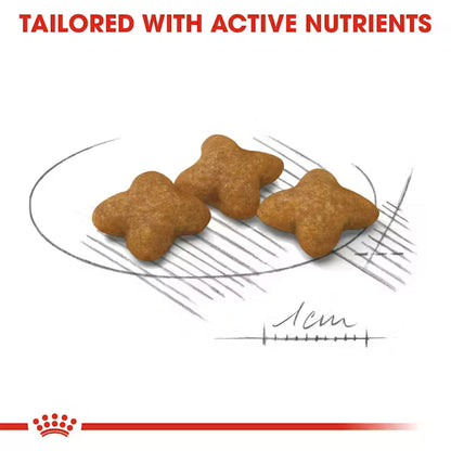 ROYAL CANIN X-Small Sterilised - Sausas Pašaras Kastruotiems Šunims