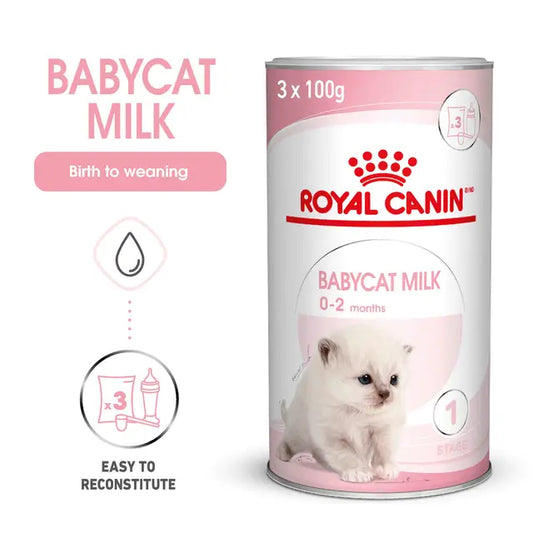 BABYCAT MILK - Pieno pakaitalas katėms