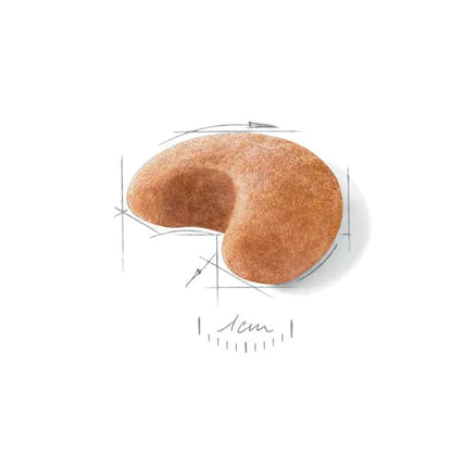 French Bulldog Adult dry dog ​​food