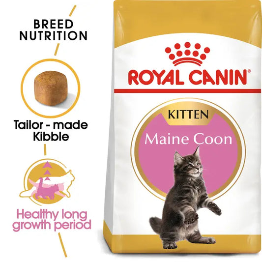 Maine Coon Kitten dry cat food