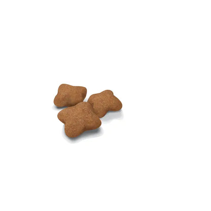 KITTEN STERILISED dry cat food