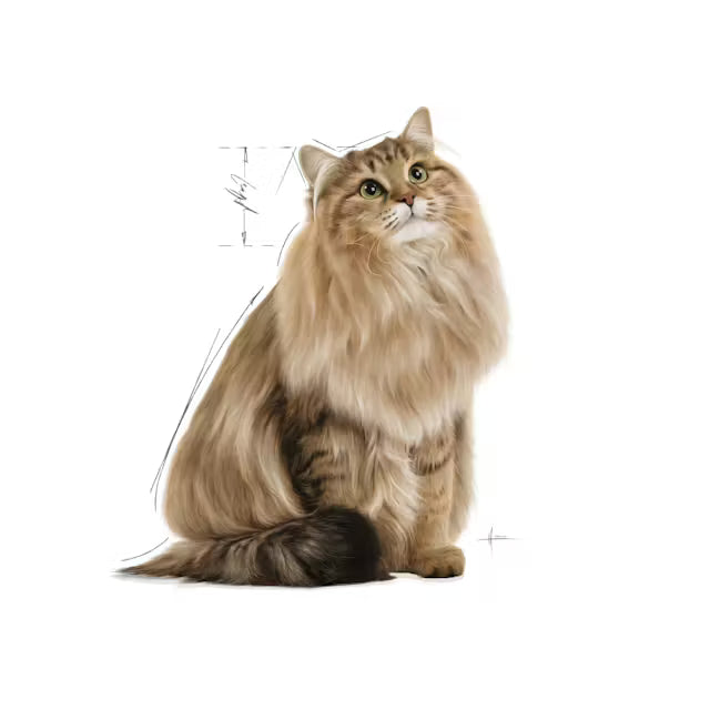 ROYAL CANIN Digest Sensitive Gravy - Wet Food for Adult Cats 12x85g