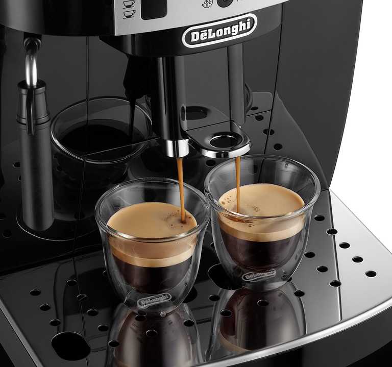 DeLonghi ECAM22.112.B Automatinis Kavos Aparatas - Su Automatinio Valymo Sistema