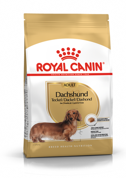 Dachshund Adult sausas pašaras šuniui