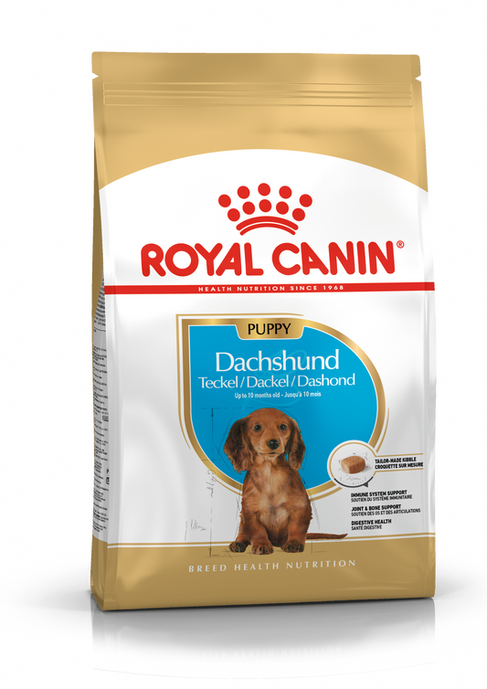 Royal Canin Dachshund Puppy šunų maistas 1,5 kg - specialiai subalansuotas maistas taksų šuniukams