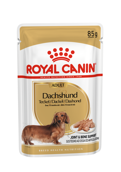 Dachshund wet dog food
