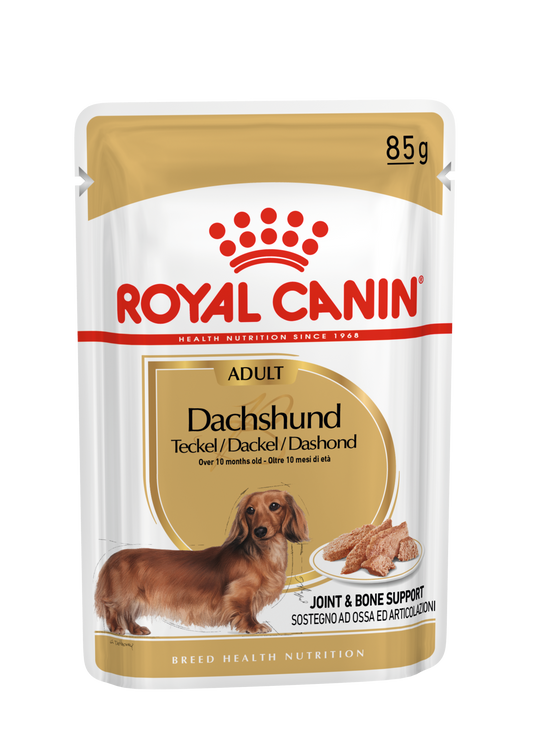 Royal Canin Dachshund Loaf - Specialus šlapias maistas suaugusiems šunims 12x85g