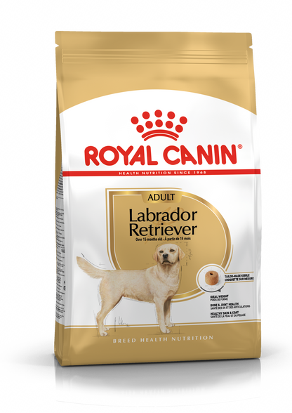 Labrador Retriever Adult dry dog ​​food