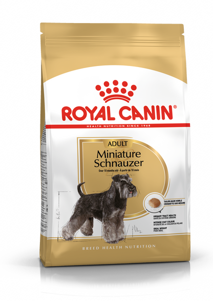 Miniature Schnauzer Adult dry dog ​​food