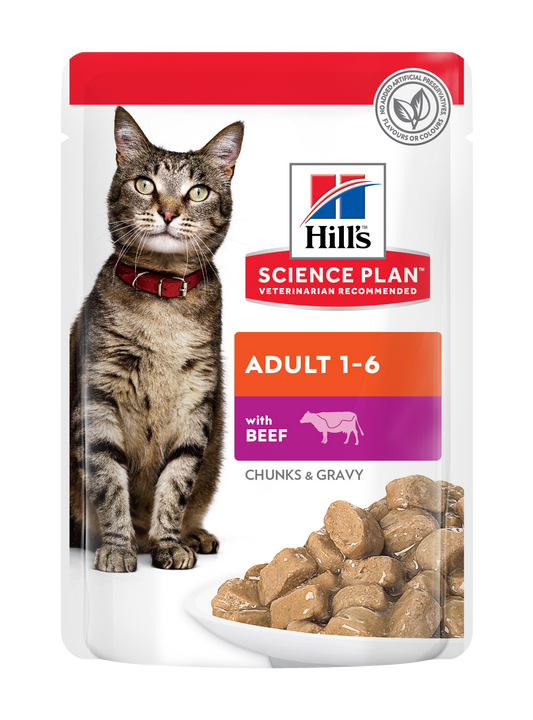 Hill's Science Plan suaugusioms katėms su jautiena 12x85 g guliašai