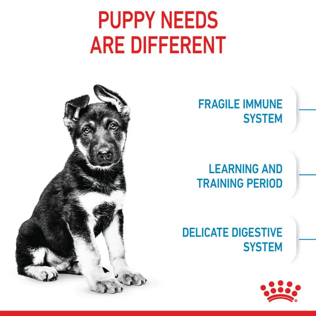 Royal Canin Maxi Puppy dry food - For large breed puppies