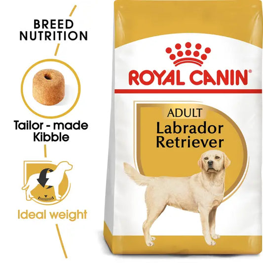 Labrador Retriever Adult sausas pašaras šuniui