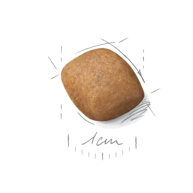 Pomeranian Adult dry dog ​​food