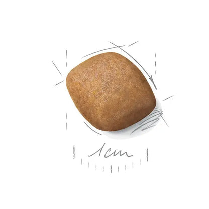 Pomeranian Adult dry dog ​​food