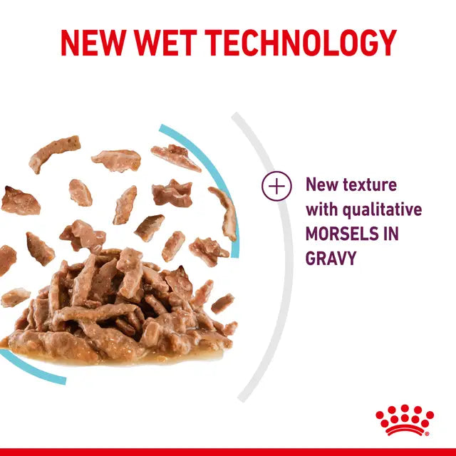 ROYAL CANIN SENSORY™ FEEL Morsels in Gravy - Drėgnas Pašaras Suaugusioms Katėms 12x85g