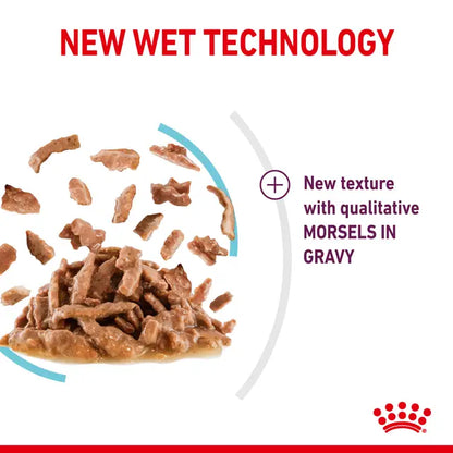 ROYAL CANIN SENSORY™ FEEL Morsels in Gravy - Drėgnas Pašaras Suaugusioms Katėms 12x85g