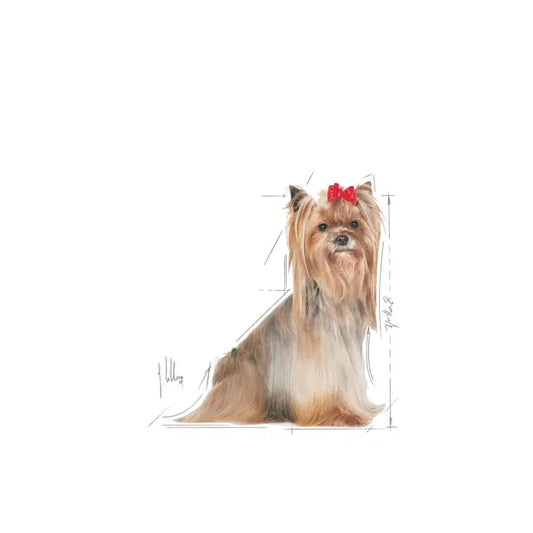 Royal Canin Yorkshire Terrier 8+ - Sausas pašaras šuniui