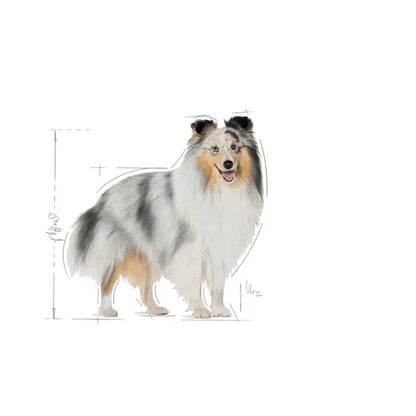 Royal Canin Coat Care Pasztet
