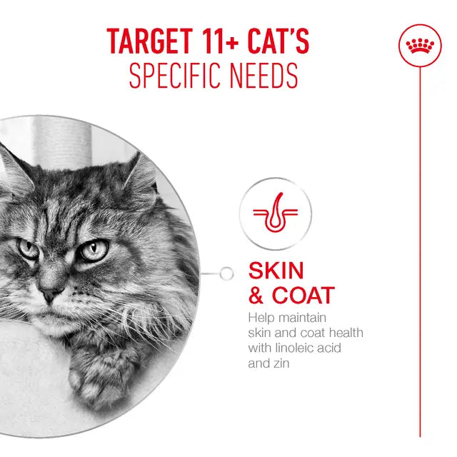 ROYAL CANIN Ageing 11+ Gravy - Wet Food for Senior Cats 12x85g