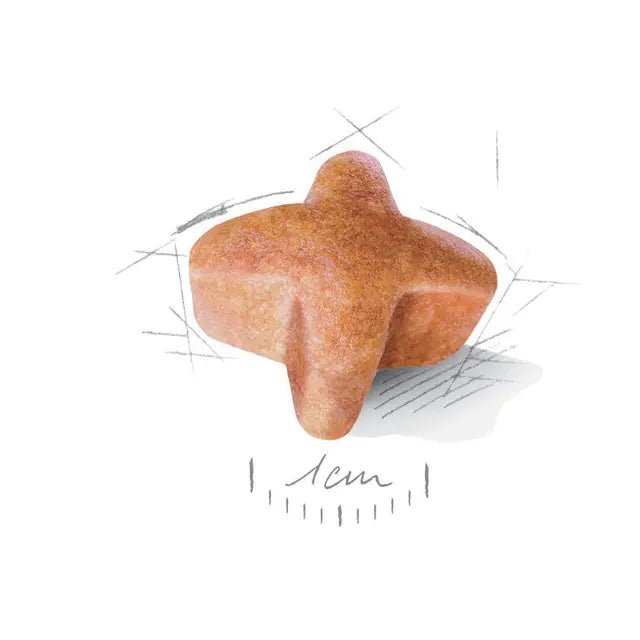 German Shepherd Adult dry dog ​​food