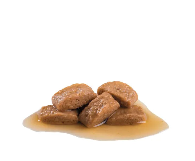 ROYAL CANIN Maxi Adult Chunks In Gravy - Wet Food for Large Adult Dogs 10x140g