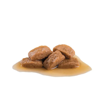 ROYAL CANIN Maxi Adult Chunks In Gravy - Wet Food for Large Adult Dogs 10x140g