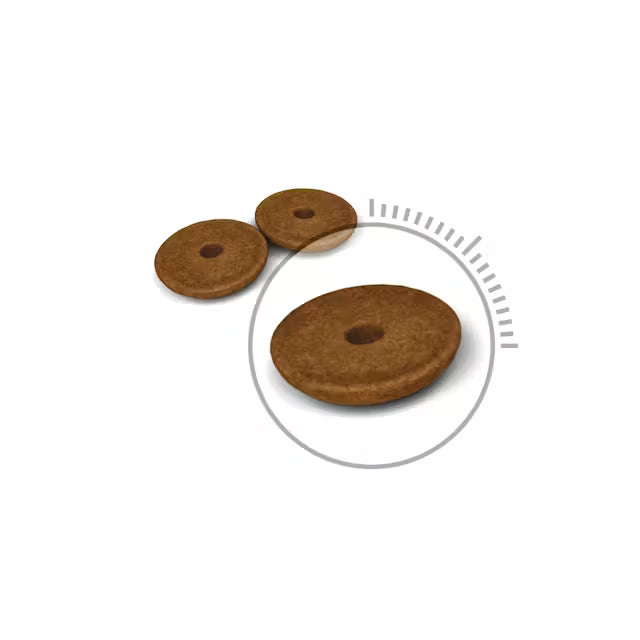 Royal Canin Feline Care Nutrition Digestive Care 10kg - Profesionali pakuotė suaugusioms katėms virškinimo sistemos sveikatai