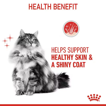 ROYAL CANIN Hair & Skin Care Jelly - Karma Mokra dla Dorosłych Kotów 12x85g