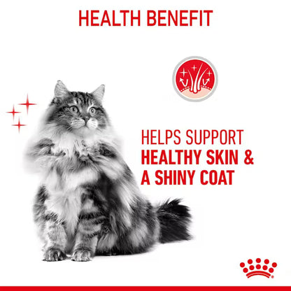 ROYAL CANIN Hair & Skin Care Loaf - Wet Cat Food 12x85g