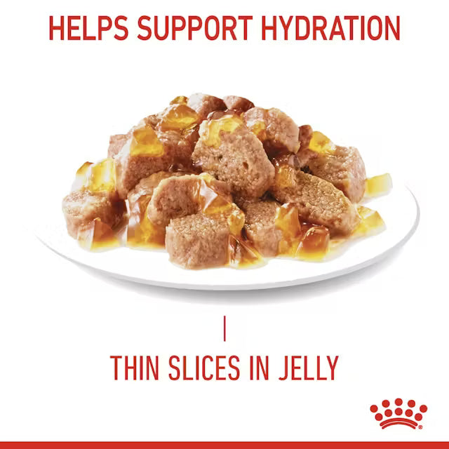 ROYAL CANIN Hair & Skin Care Jelly - Karma Mokra dla Dorosłych Kotów 12x85g