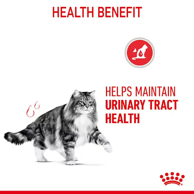 ROYAL CANIN Urinary Care Cienkie Kawałki w Galarecie - Karma Mokra dla Kotów 12x85g