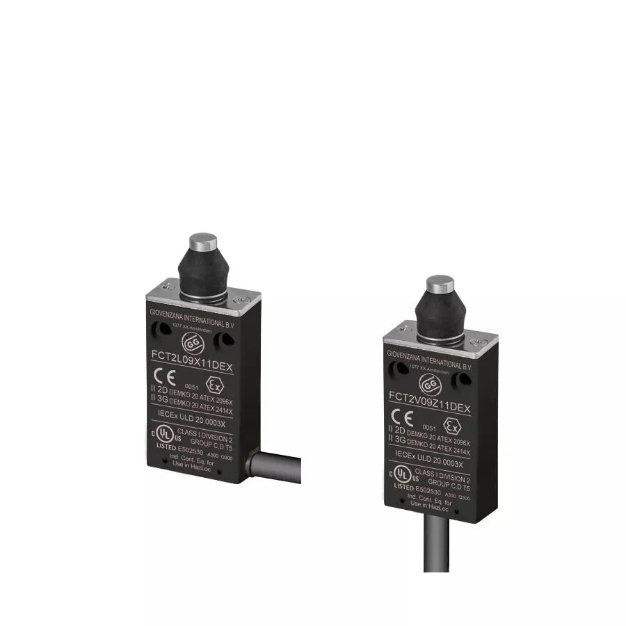 FCT2L09Z11D Giovenzana Verdrahteter thermoplastischer Endschalter, DIN-Löcher - 2 m