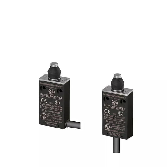 FCT2L09Z11D Giovenzana Verdrahteter thermoplastischer Endschalter, DIN-Löcher - 2 m