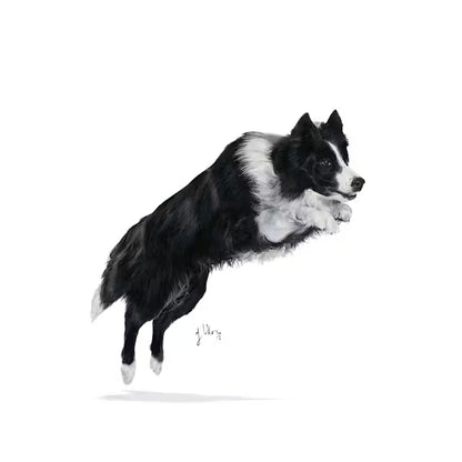 SPORTING LIFE AGILITY 4100 L dry dog ​​food