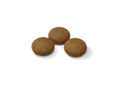 SPORTING LIFE AGILITY 4100 L dry dog ​​food