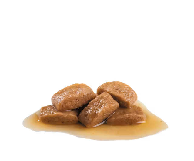 ROYAL CANIN Maxi Ageing 8+ Gravy - Wet Food for Large Senior Dogs