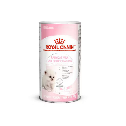 BABYCAT MILK - Pieno pakaitalas katėms