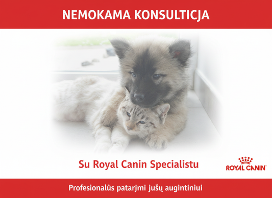 Nemokama konsultacija - Royal Canin (šviežia versija)