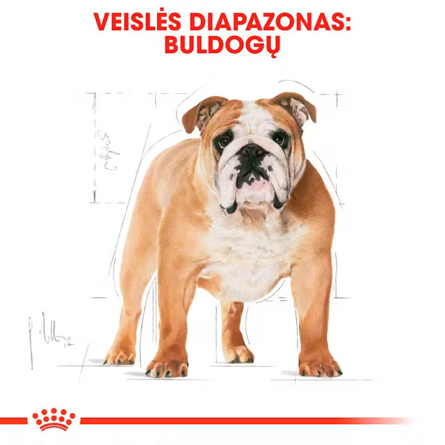 Сухой корм для собак Royal Canin Bulldog Adult