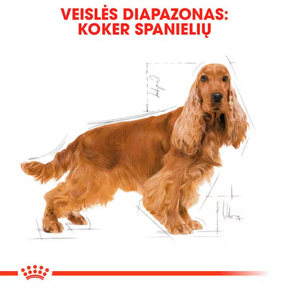 Cocker Adult dry dog ​​food