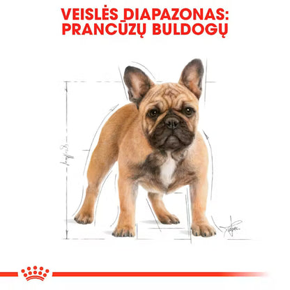 French Bulldog Adult dry dog ​​food