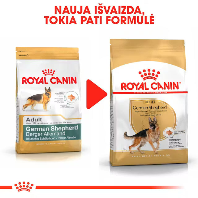 German Shepherd Adult dry dog ​​food