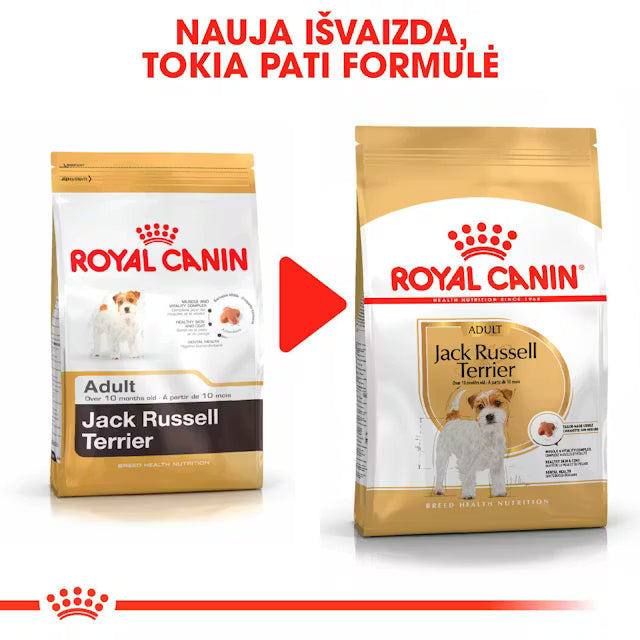 Jack Russel Adult dry dog ​​food