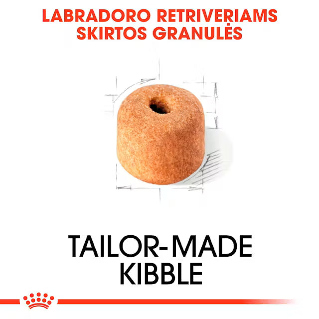 Labrador Retriever Adult dry dog ​​food