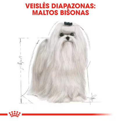 Maltese Adult dry dog ​​food
